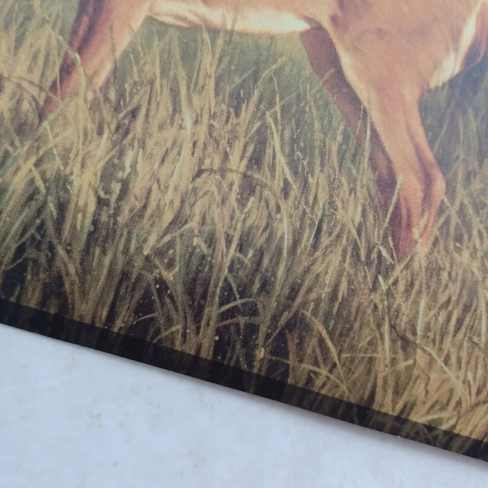 Wallpaper Whitetail Buck by Lake